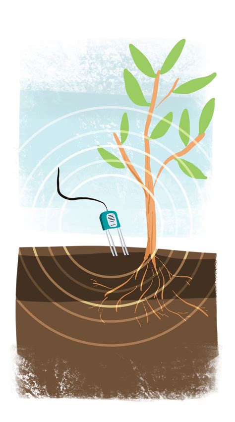 moisture meter citrus|soil moisture sensors for citrus.